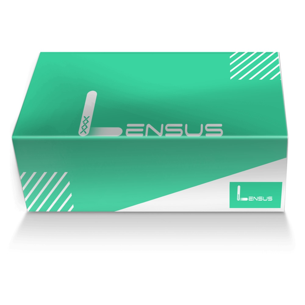 Lensus One custom made shoe box Lensus One artisan made in Italy shoes by Afta Bintang