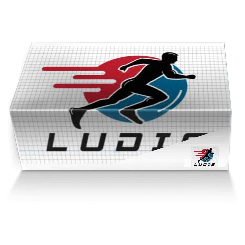 Ludis Vieon custom made shoe box Ludis Vieon artisan made in Italy shoes by Xueyun