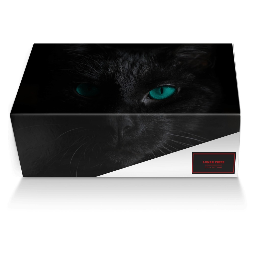 Lunar Vibez custom made shoe box Lunar Vibez artisan made in Italy shoes by Tiffany Scrivens