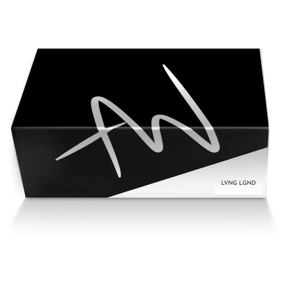 LVNG LGND custom made shoe box LVNG LGND artisan made in Italy shoes by Alexandra Wehr