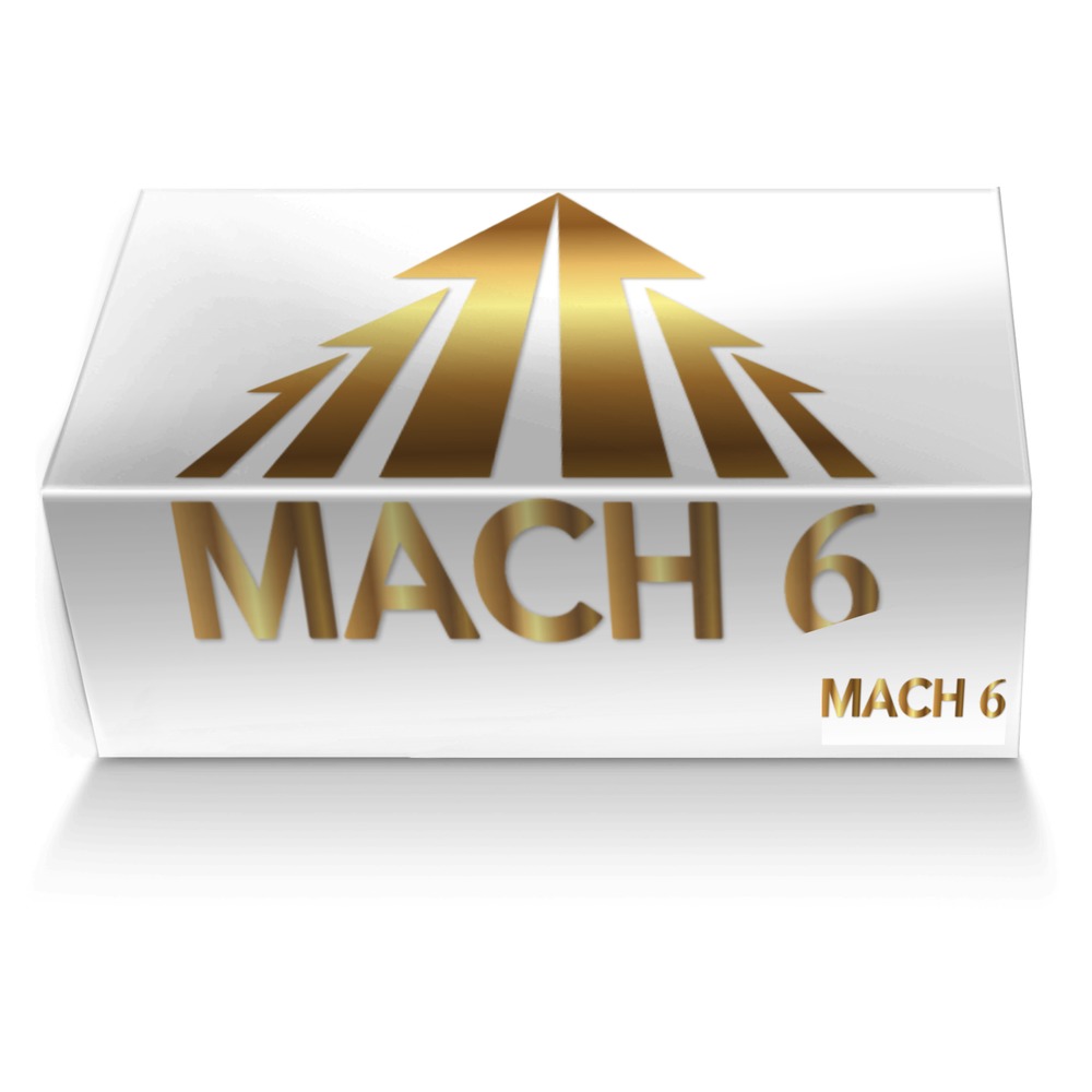 Mach 6 Trainer  artisan made in Italy shoes by Lee Ofner