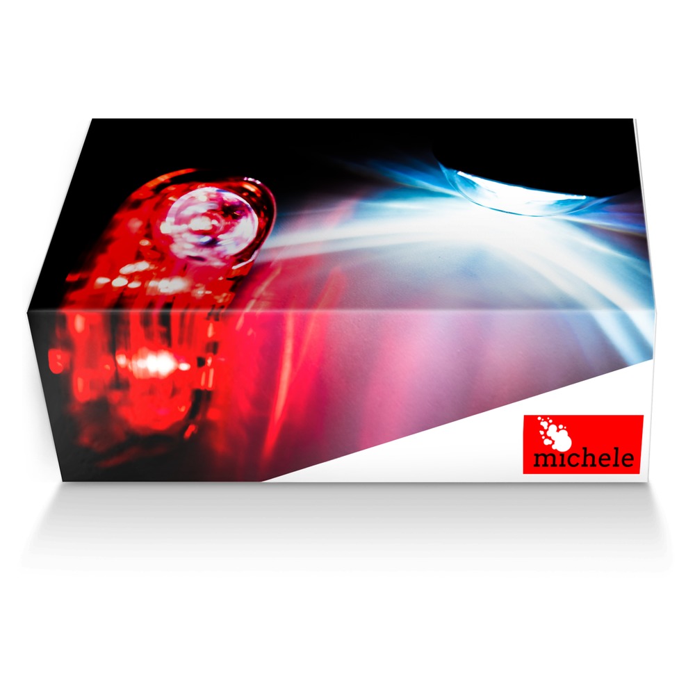 michele custom made shoe box michele artisan made in Italy shoes by Agency Aliveshoes