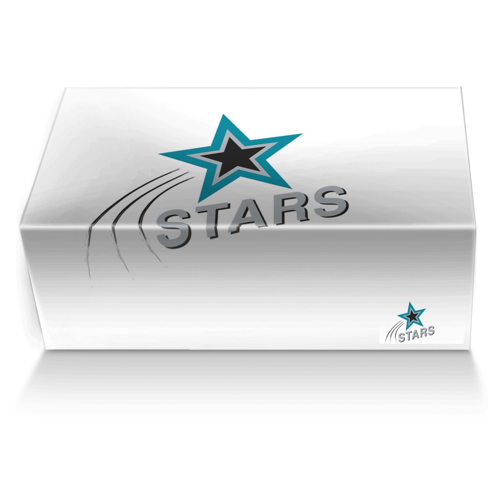 Motor City Stars custom made shoe box Motor City Stars artisan made in Italy shoes by Rick Hartley