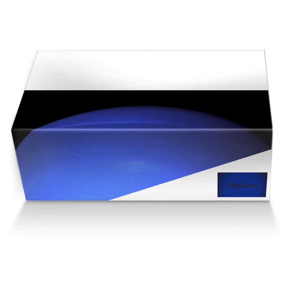 Neptunes custom made shoe box Neptunes artisan made in Italy shoes by Burnett Smith 3rd