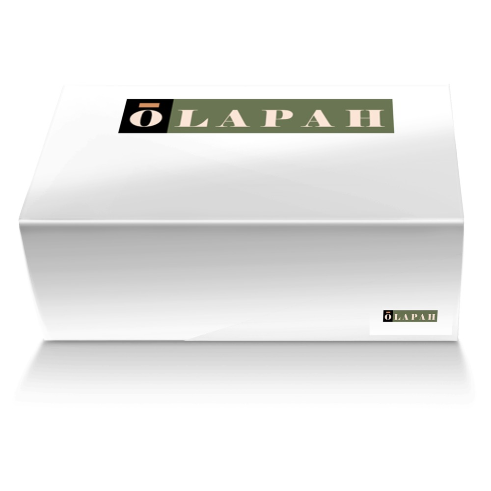 OLAPAH artisan made in Italy shoes by Roger H Passie