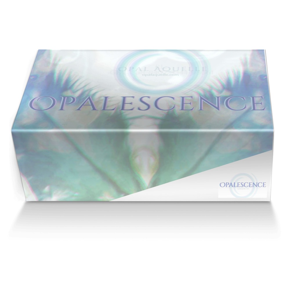 Opalescence custom made shoe box Opalescence artisan made in Italy shoes by Opal Aquelle
