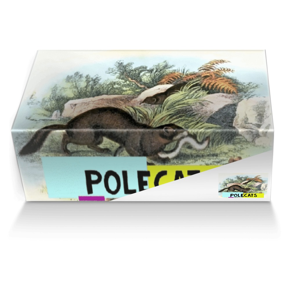 Polecats custom made shoe box Polecats artisan made in Italy shoes by Karen Poley