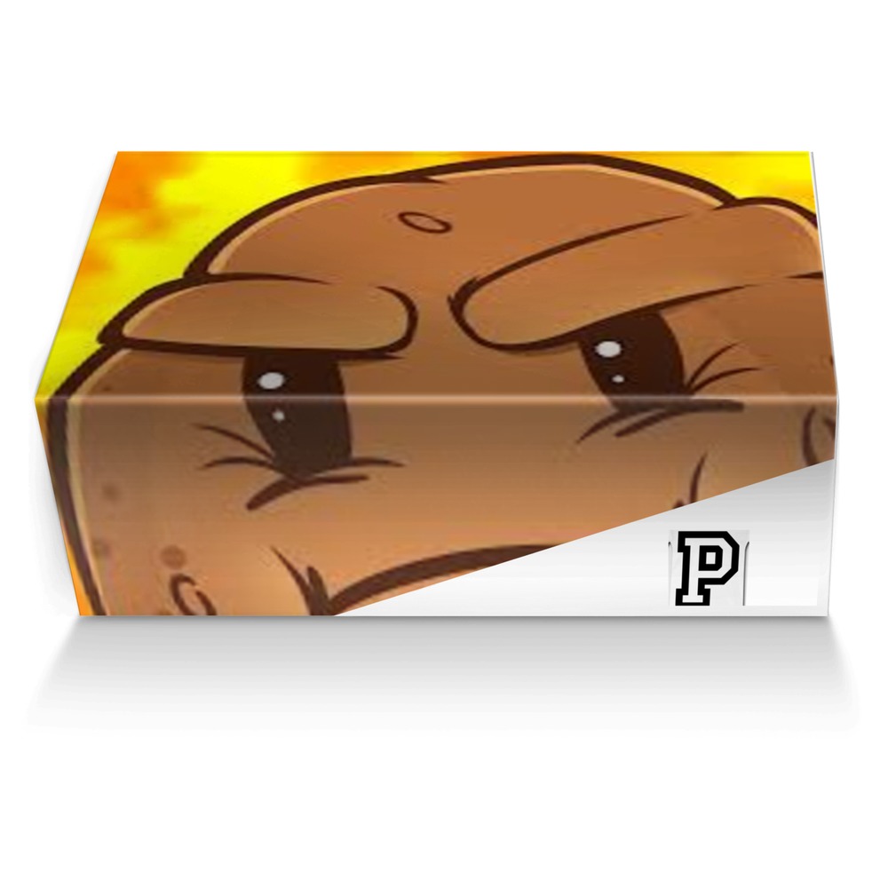 Potato 1s custom made shoe box Potato 1s artisan made in Italy shoes by Bradford Johnson