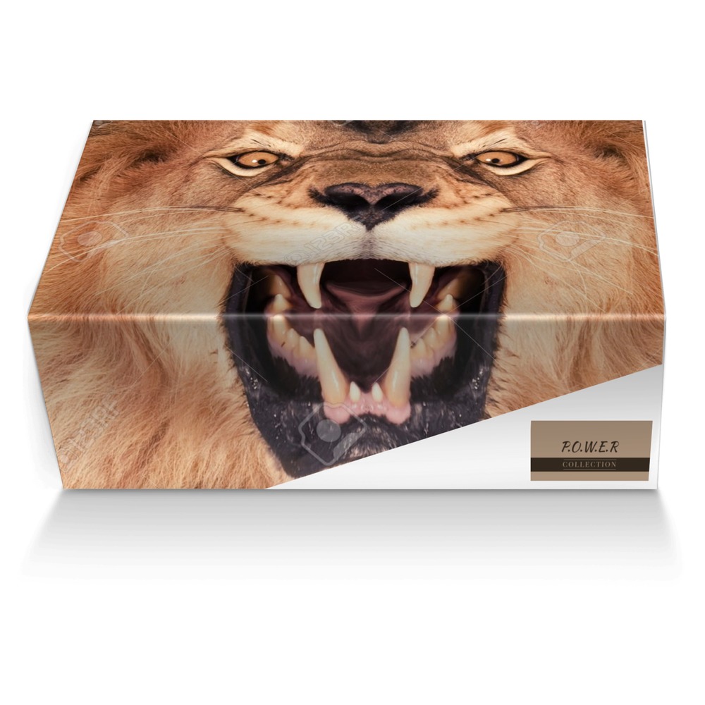 P.O.W.E.R custom made shoe box P.O.W.E.R artisan made in Italy shoes by Derrick Smalls
