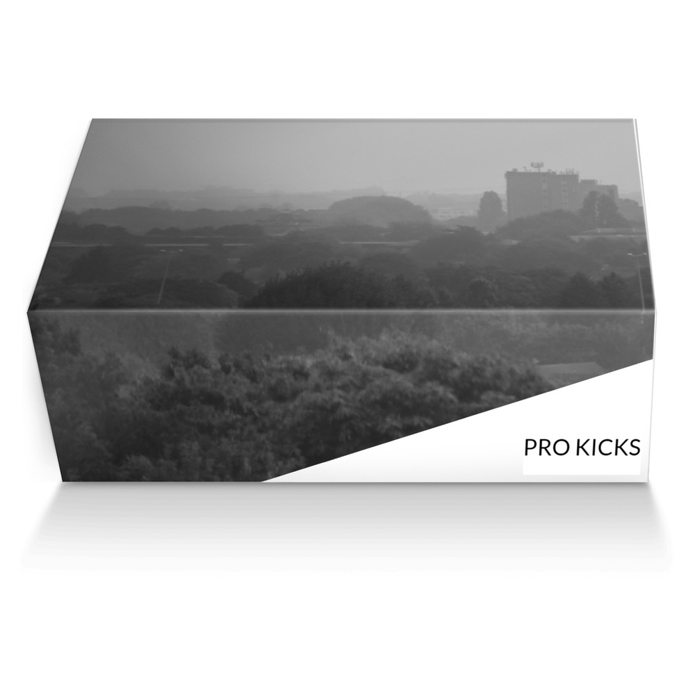 PRO KICKS artisan made in Italy shoes by Roxanne Timothy
