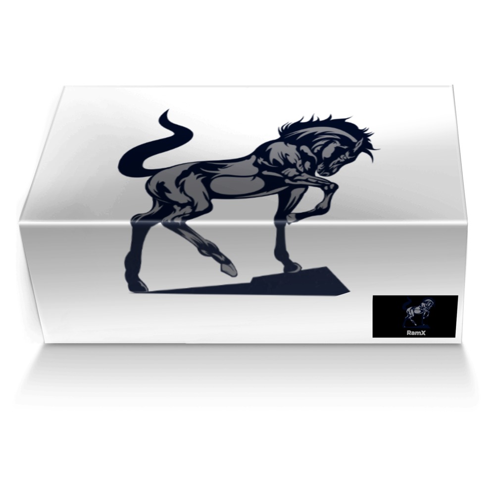 RamX custom made shoe box RamX artisan made in Italy shoes by Tumiso Chidi