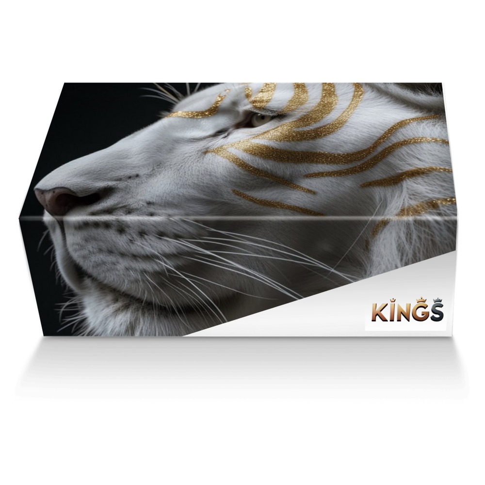 Razza Runner custom made shoe box Razza Runner artisan made in Italy shoes by Rich King