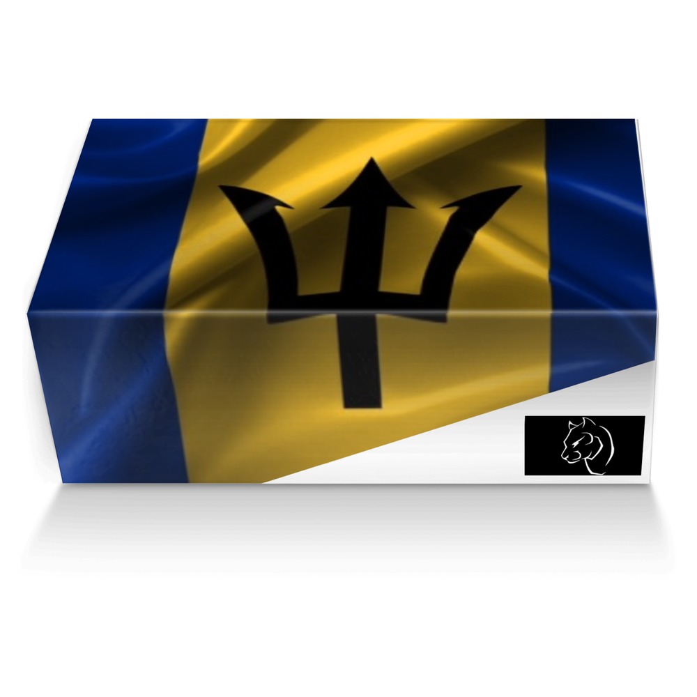 The Bridgetown custom made shoe box The Bridgetown artisan made in Italy shoes by Shane Carter