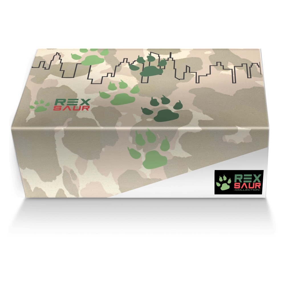 Rexsaur custom made shoe box Rexsaur artisan made in Italy shoes by Denise Campbell