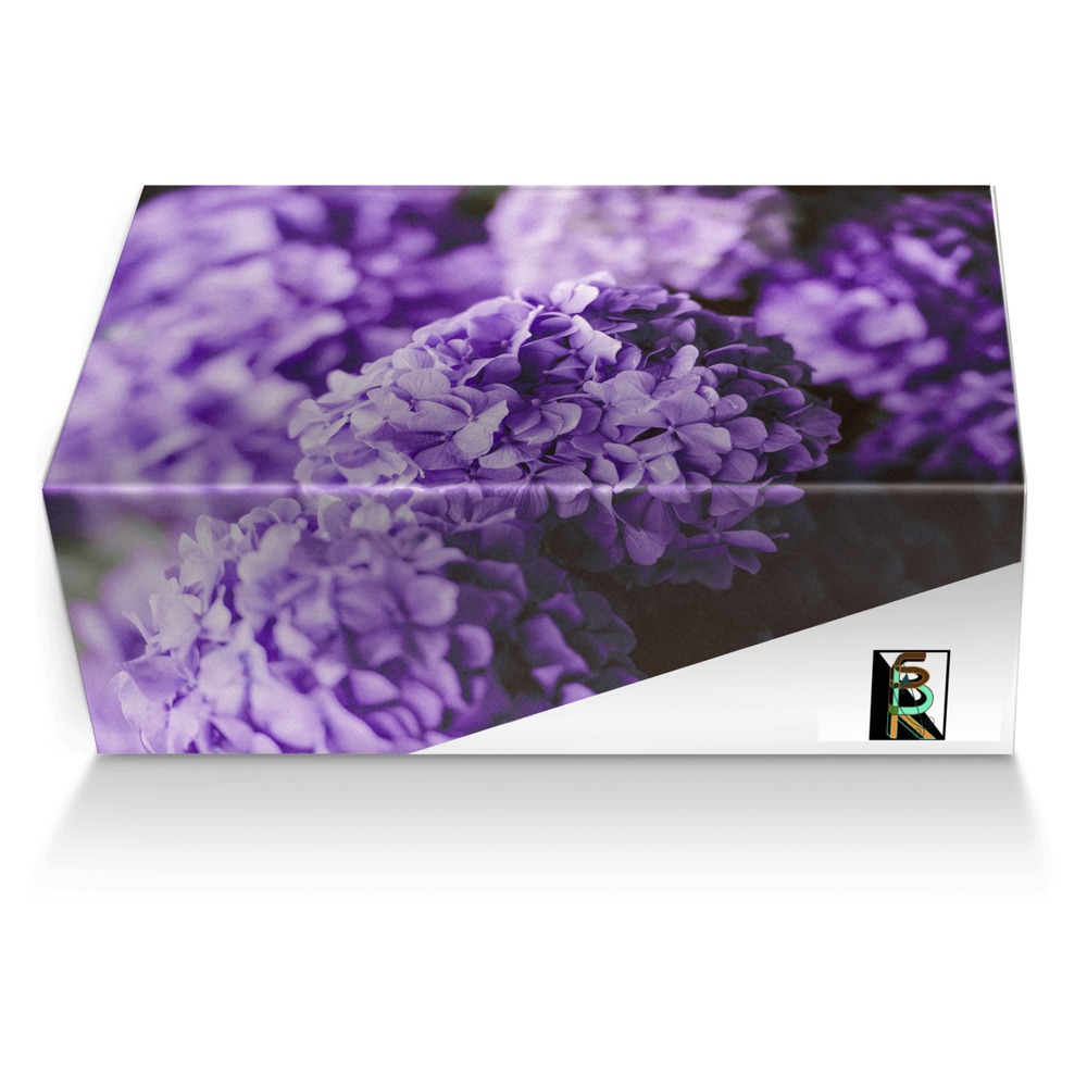 Santa Ba-Row G36 custom made shoe box Santa Ba-Row G36 artisan made in Italy shoes by Chinara London