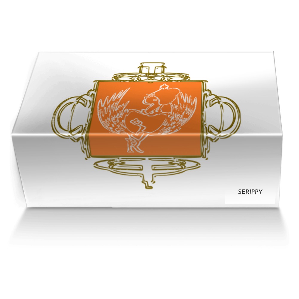 SERIPPY custom made shoe box SERIPPY artisan made in Italy shoes by Sherelle Rippy
