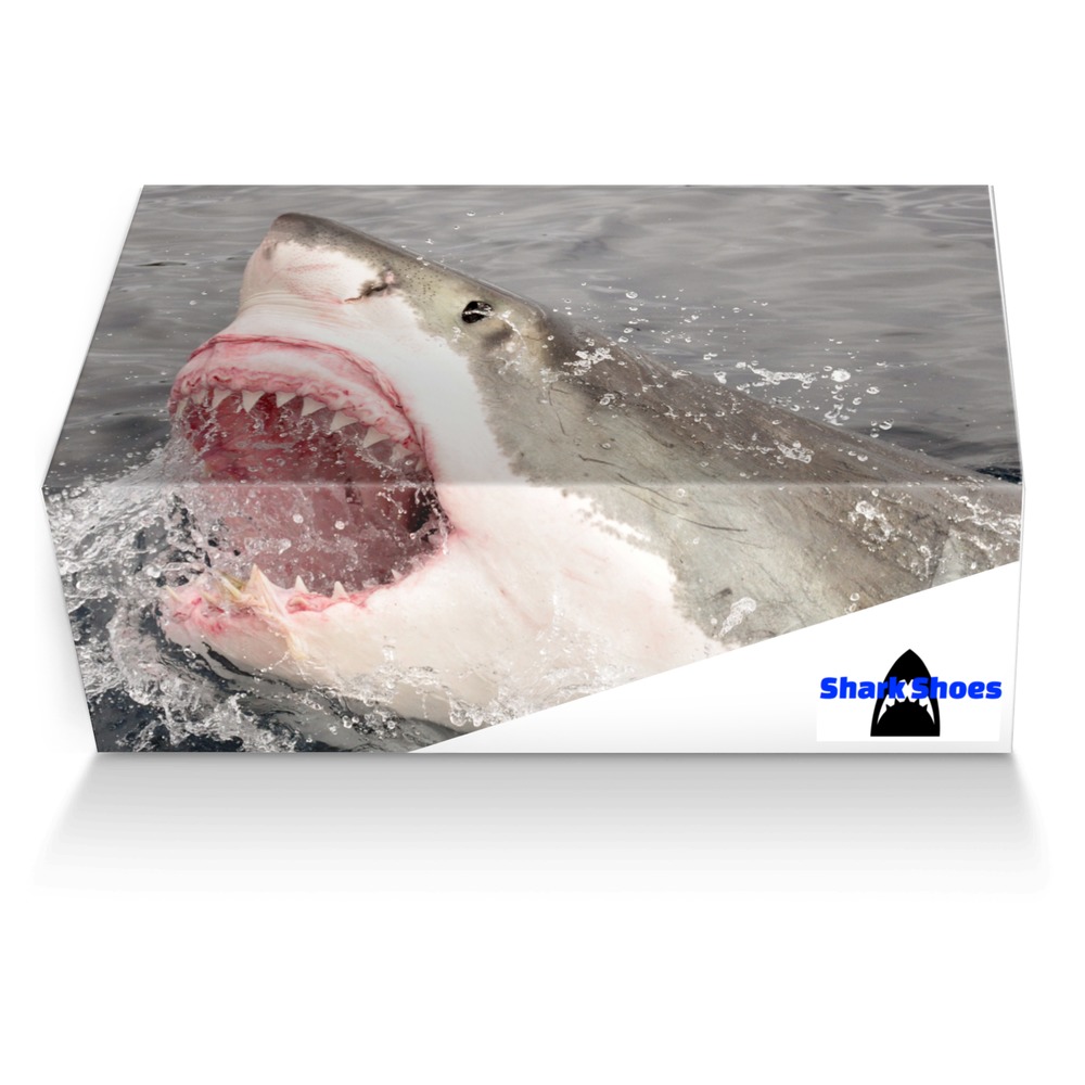 Shark Shoes custom made shoe box Shark Shoes artisan made in Italy shoes by Kevin Barnard