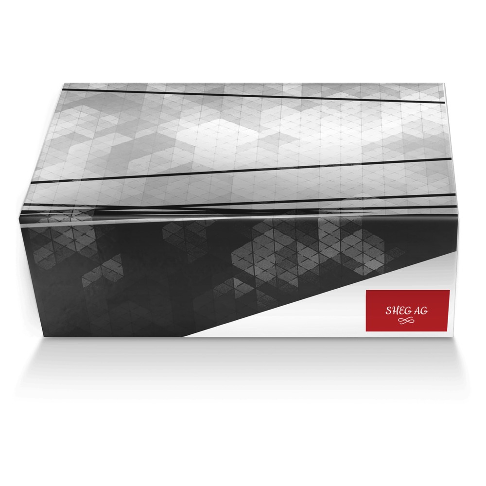 SHEG air gordon custom made shoe box SHEG air gordon artisan made in Italy shoes by Dylan Drottar