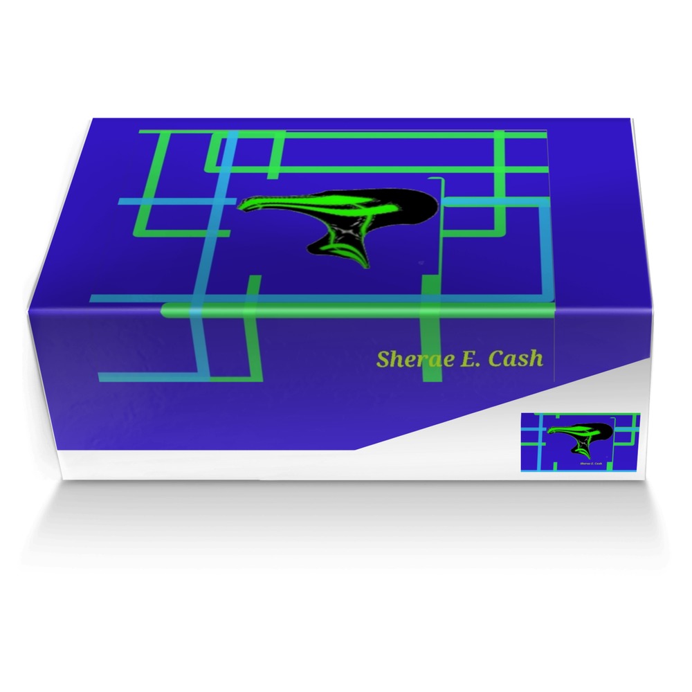 Sherae E. Cash custom made shoe box Sherae E. Cash artisan made in Italy shoes by Sherae Love