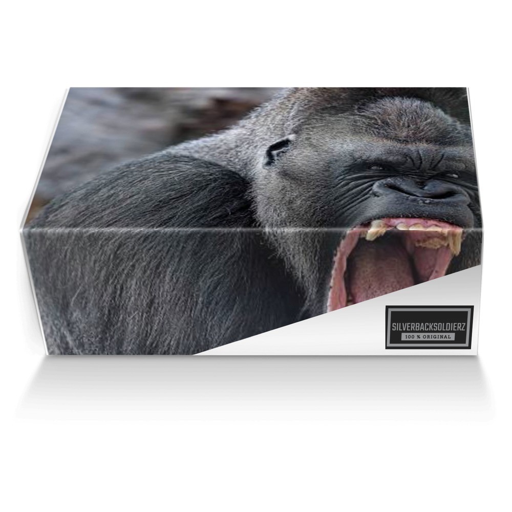 SilverBackSoldierz custom made shoe box SilverBackSoldierz artisan made in Italy shoes by Franswa Andre