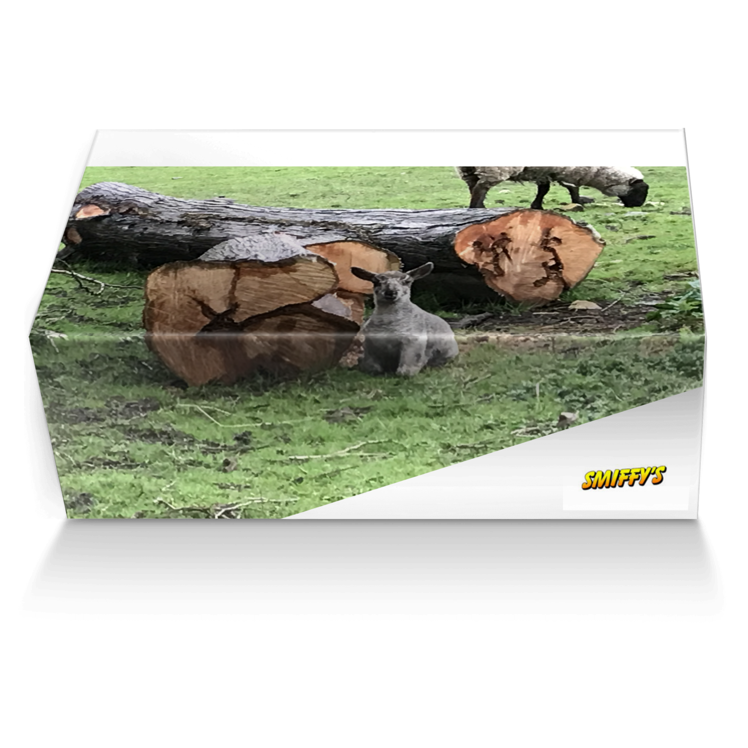 Horizontal