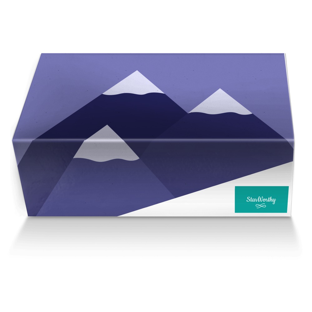 StarWorthy custom made shoe box StarWorthy artisan made in Italy shoes by Liliana M