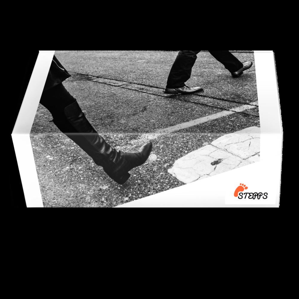Stepps A Custom Shoe concept by Sue Ann Vaughan