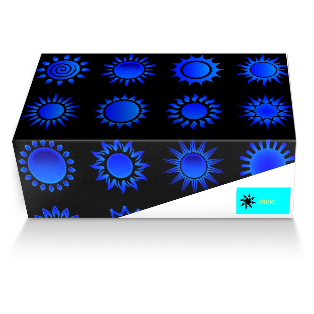 sunshine shoes custom made shoe box sunshine shoes artisan made in Italy shoes by Reagan Bell