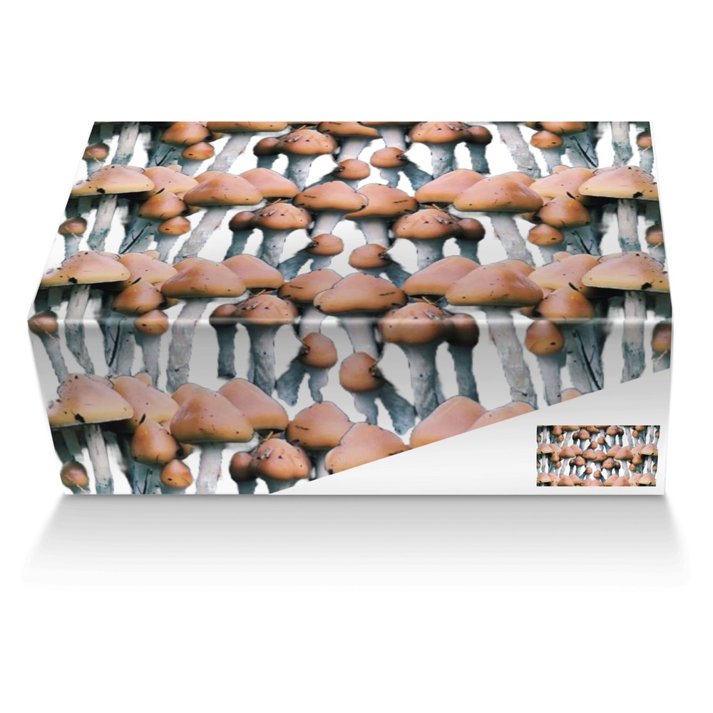 Sweet Terpenes custom made shoe box Sweet Terpenes artisan made in Italy shoes by Heather Stanley