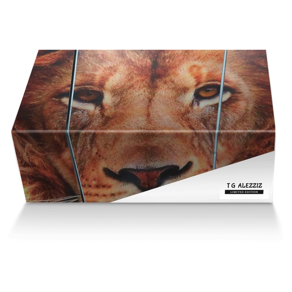 T G ALEZZIZ custom made shoe box T G ALEZZIZ artisan made in Italy shoes by David Mitchell