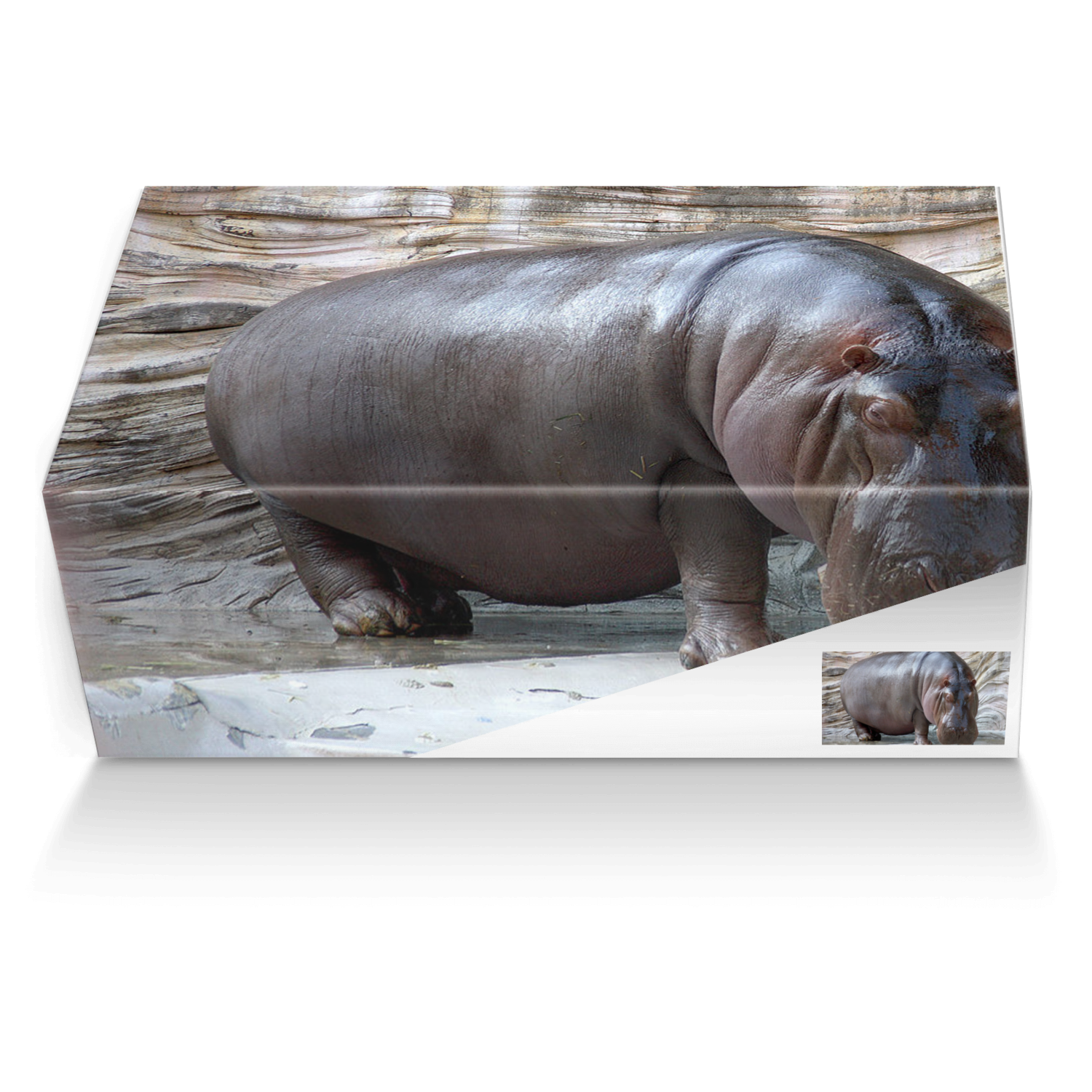 Horizontal