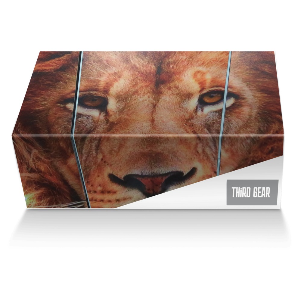 THiRD GEAR RECTro custom made shoe box THiRD GEAR RECTro artisan made in Italy shoes by David Mitchell