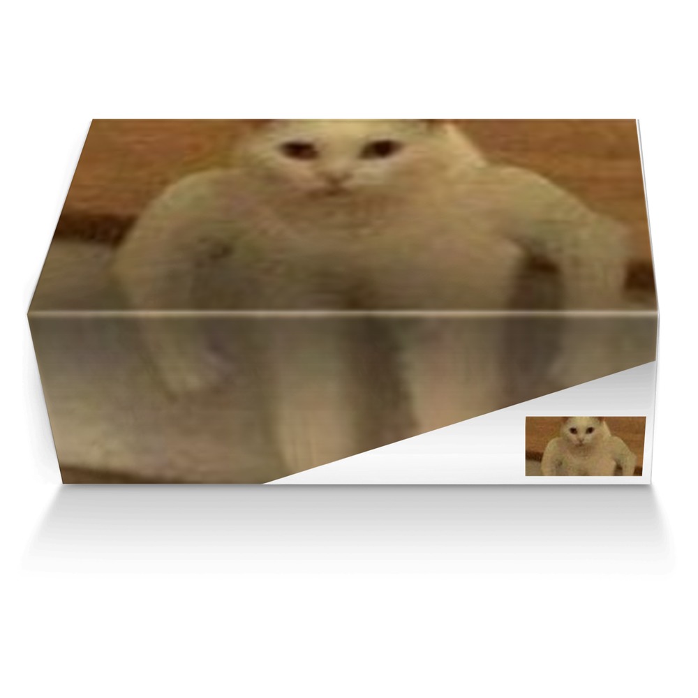 Timby custom made shoe box Timby artisan made in Italy shoes by John Ulibarri