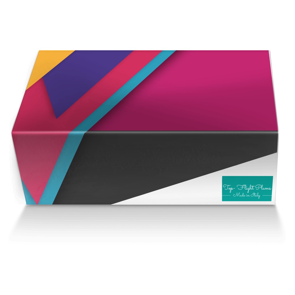 Top- Flight Plums custom made shoe box Top- Flight Plums artisan made in Italy shoes by Queen Carr
