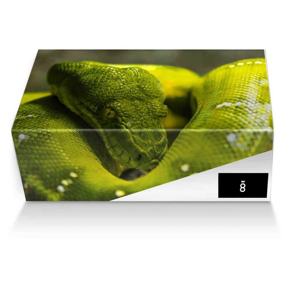 V-1 "Reptile" custom made shoe box V-1 "Reptile" artisan made in Italy shoes by King David Smith Ii