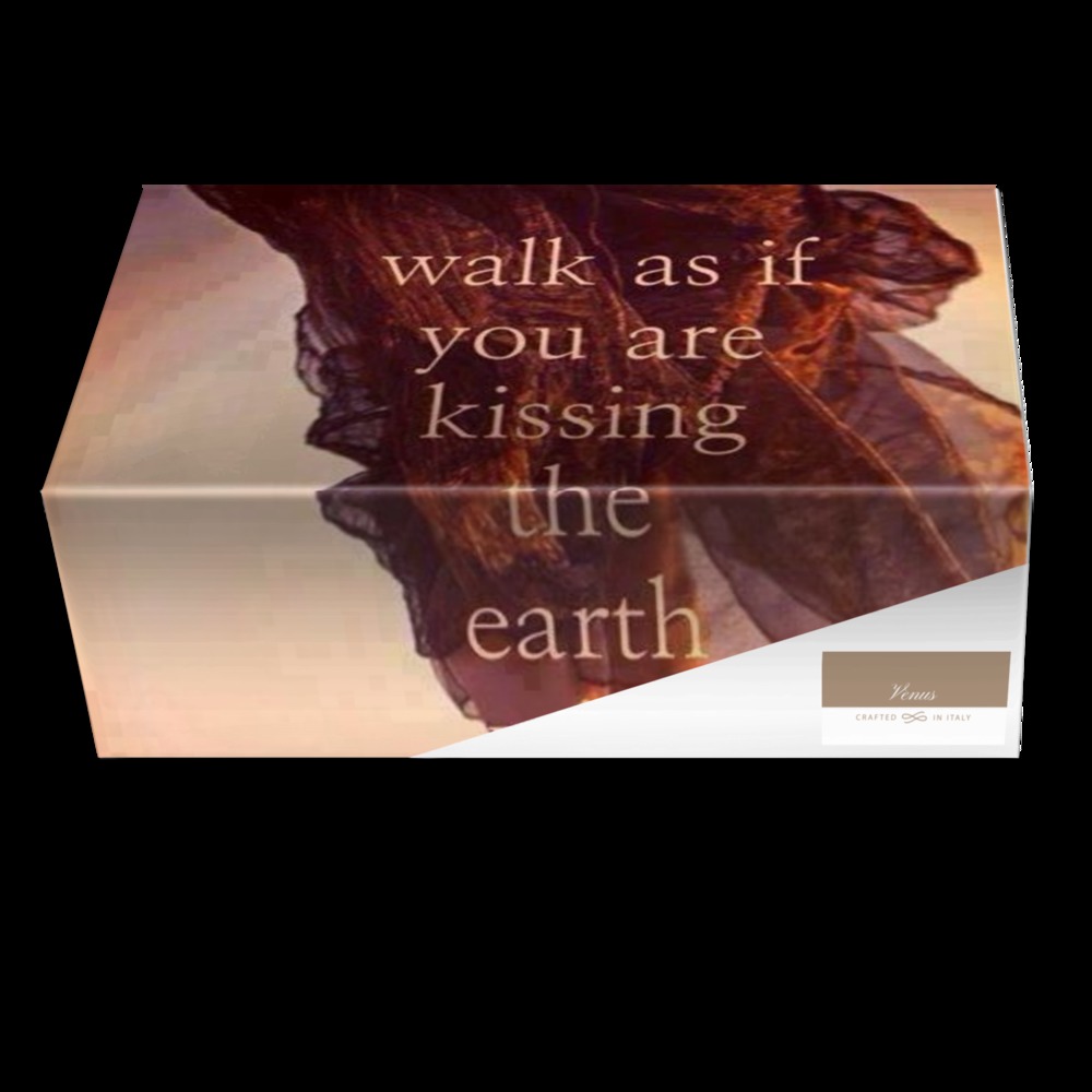 earth shoes venus