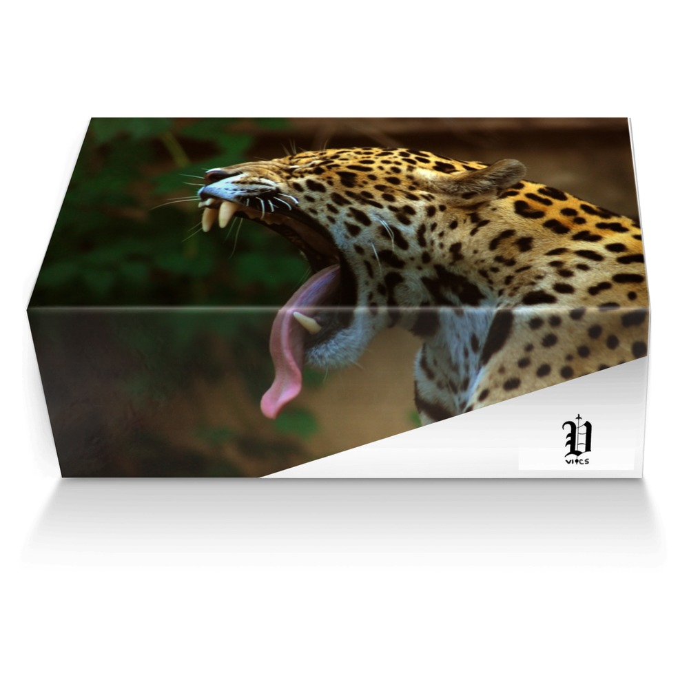 vics jaguar custom made shoe box vics jaguar artisan made in Italy shoes by Brayden Murphy