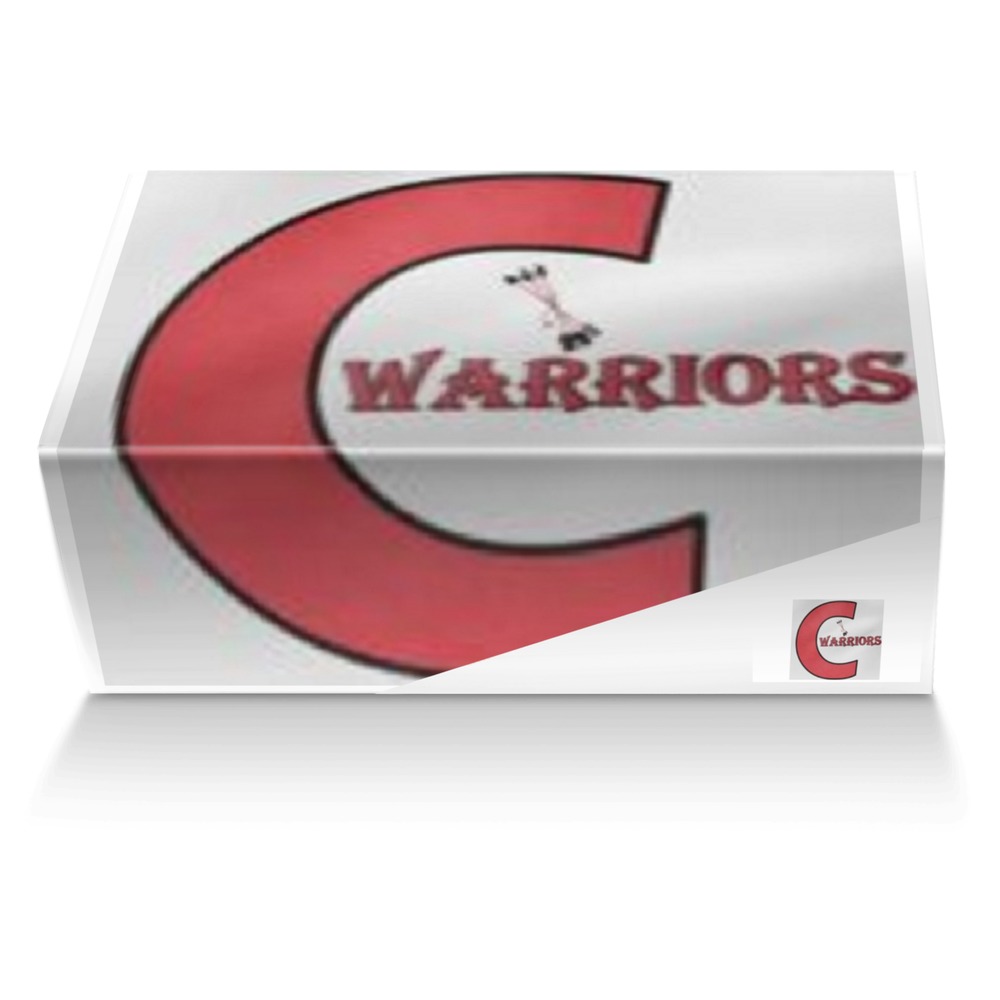 Warrior Pride artisan made in Italy shoes by Designs By Dako