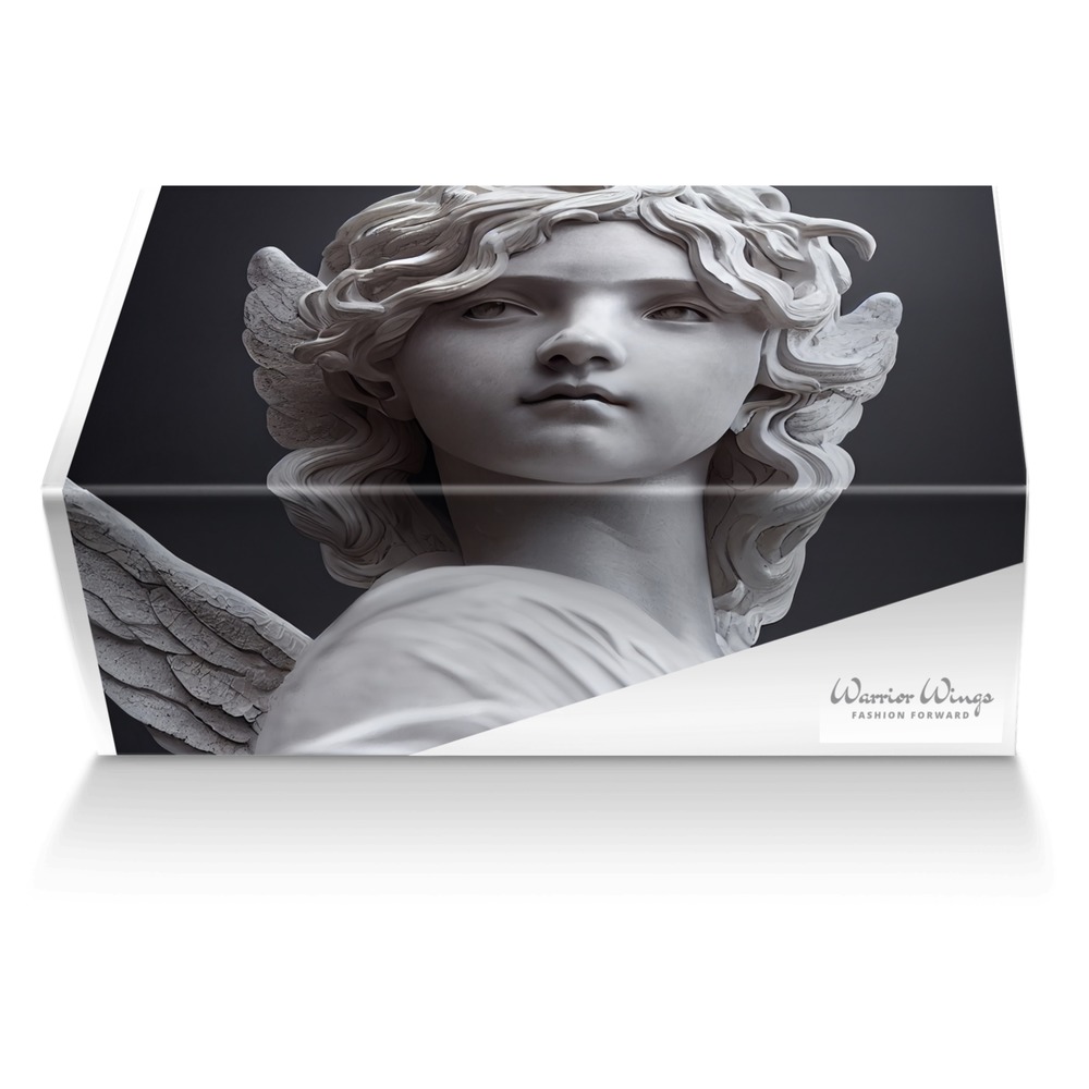 Warrior Wings custom made shoe box Warrior Wings artisan made in Italy shoes by Selena A Razo Bell