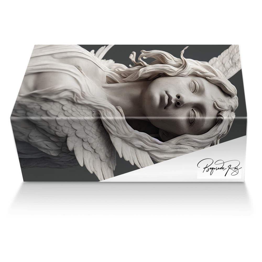 Warrior Wings custom made shoe box Warrior Wings artisan made in Italy shoes by Selena A Razo Bell