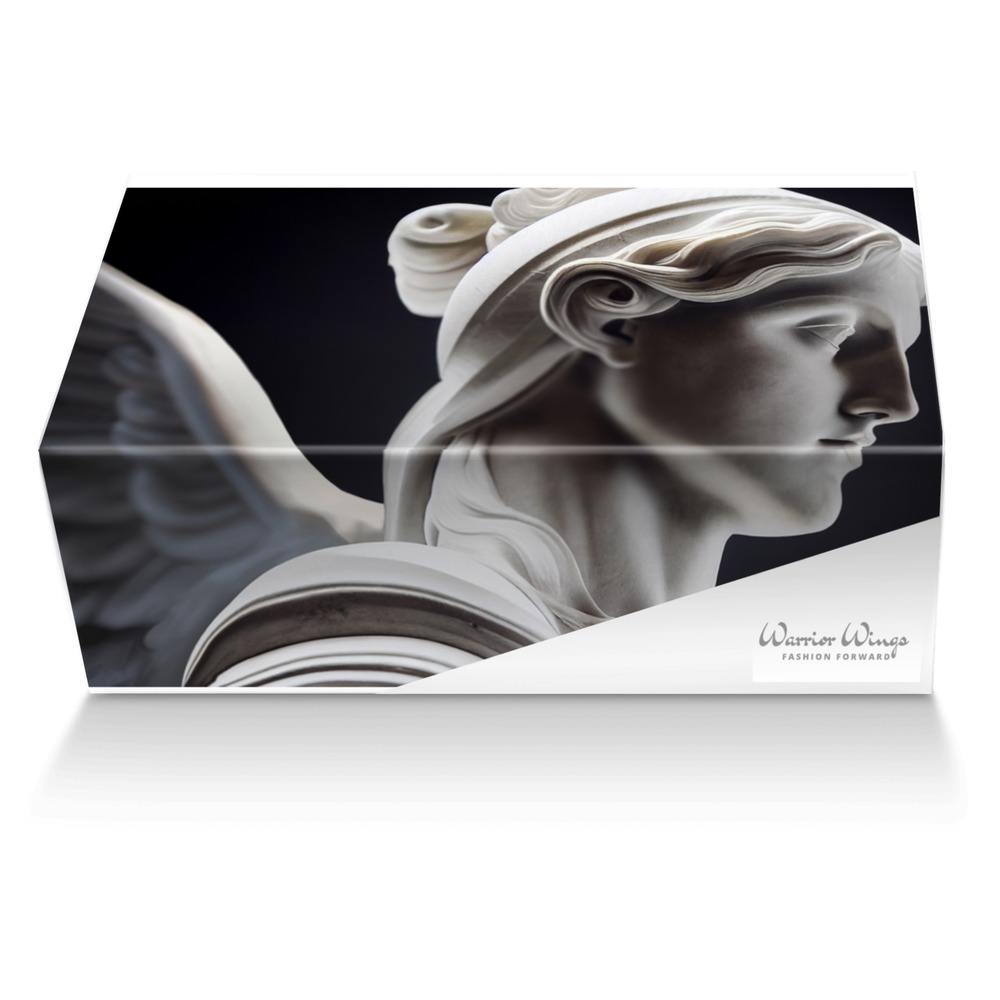 Warrior Wings custom made shoe box Warrior Wings artisan made in Italy shoes by Selena A Razo Bell