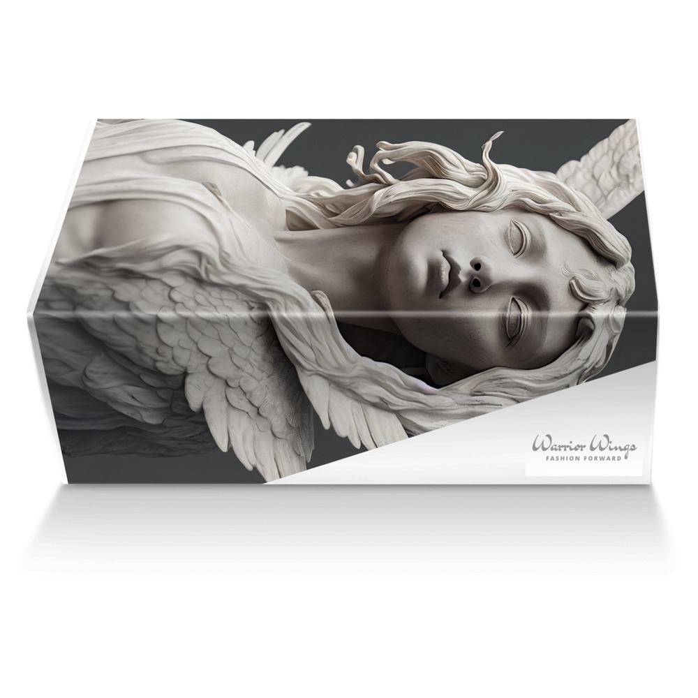 Warrior Wings custom made shoe box Warrior Wings artisan made in Italy shoes by Selena A Razo Bell