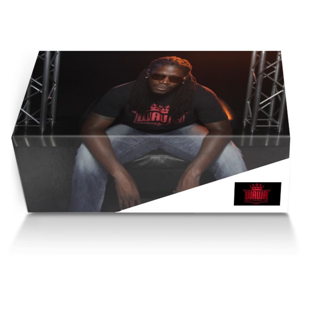 WAWA's Vision custom made shoe box WAWA's Vision artisan made in Italy shoes by Warren Snipe