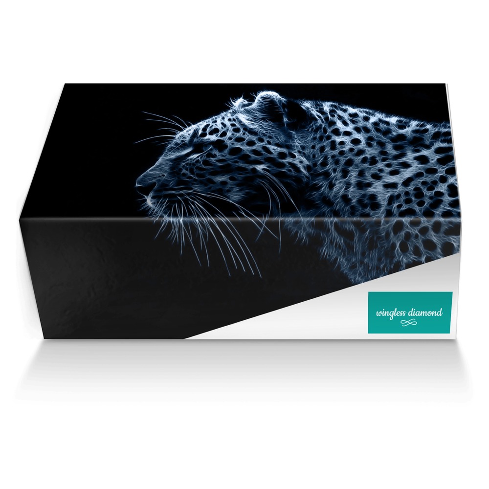 wingless diamond custom made shoe box wingless diamond artisan made in Italy shoes by Bobby Cole