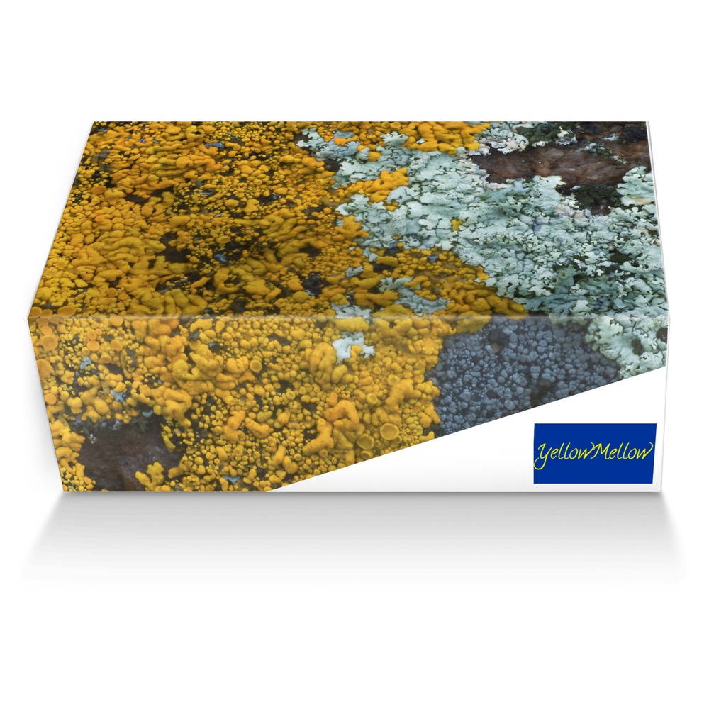 YellowMellow custom made shoe box YellowMellow artisan made in Italy shoes by Mira Memora