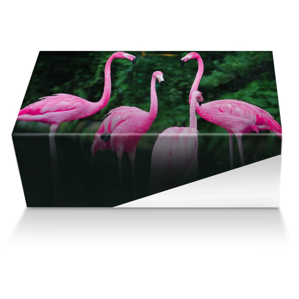 Zenfeni Gemz custom made shoe box Zenfeni Gemz artisan made in Italy shoes by Jahi Ali-bey