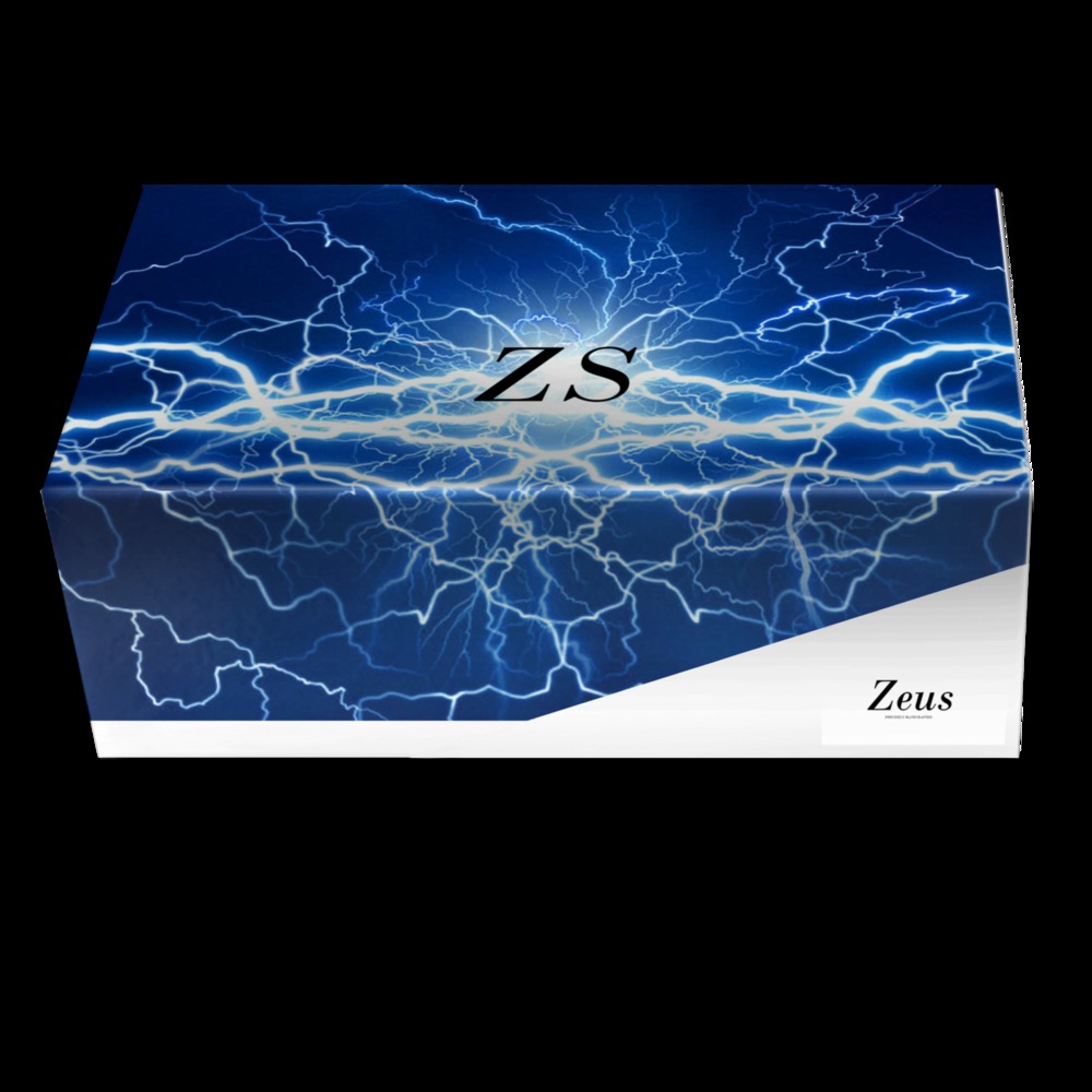 Zeus | A Custom Shoe concept by Roberto Cendejas