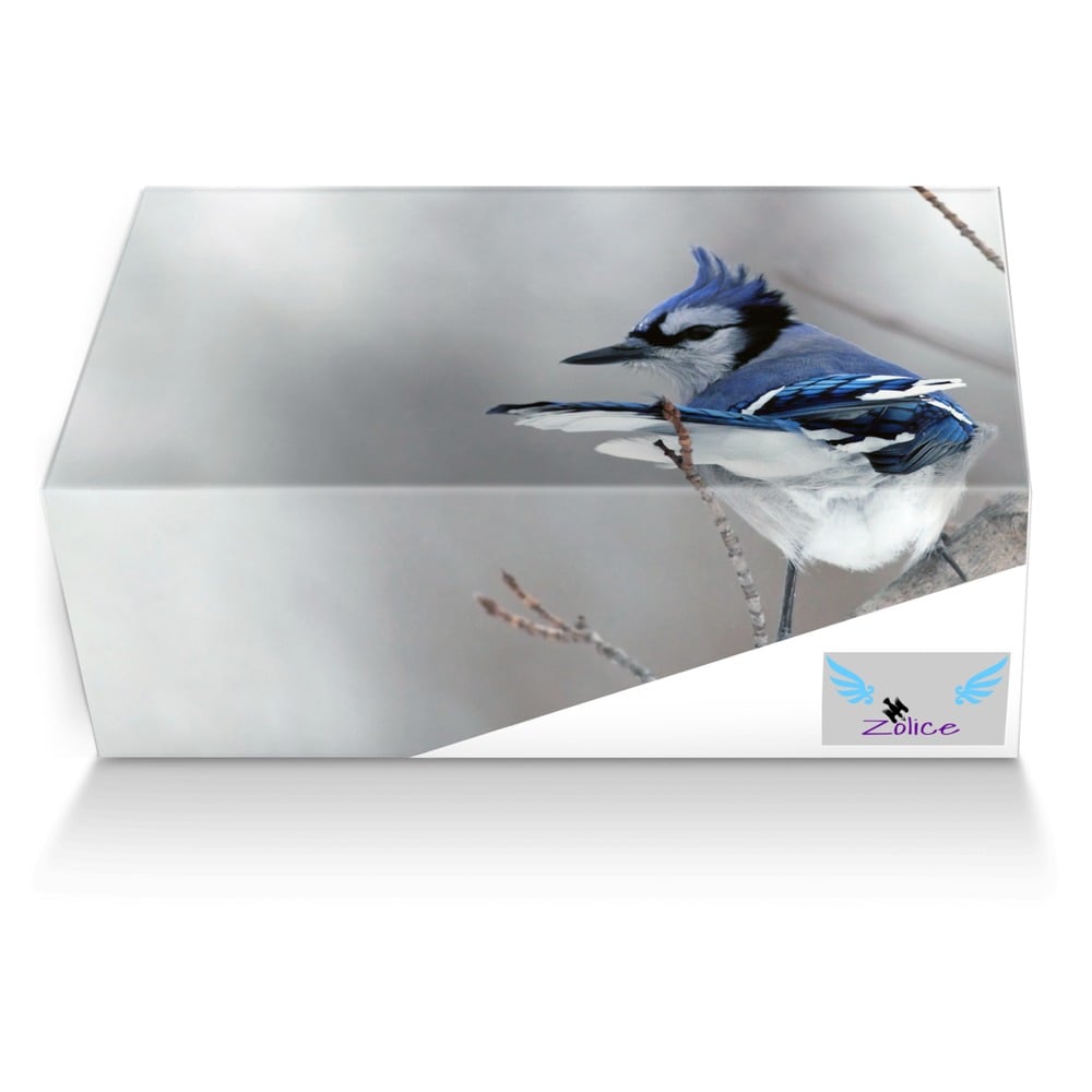 Zolice custom made shoe box Zolice artisan made in Italy shoes by Nika Vermillas
