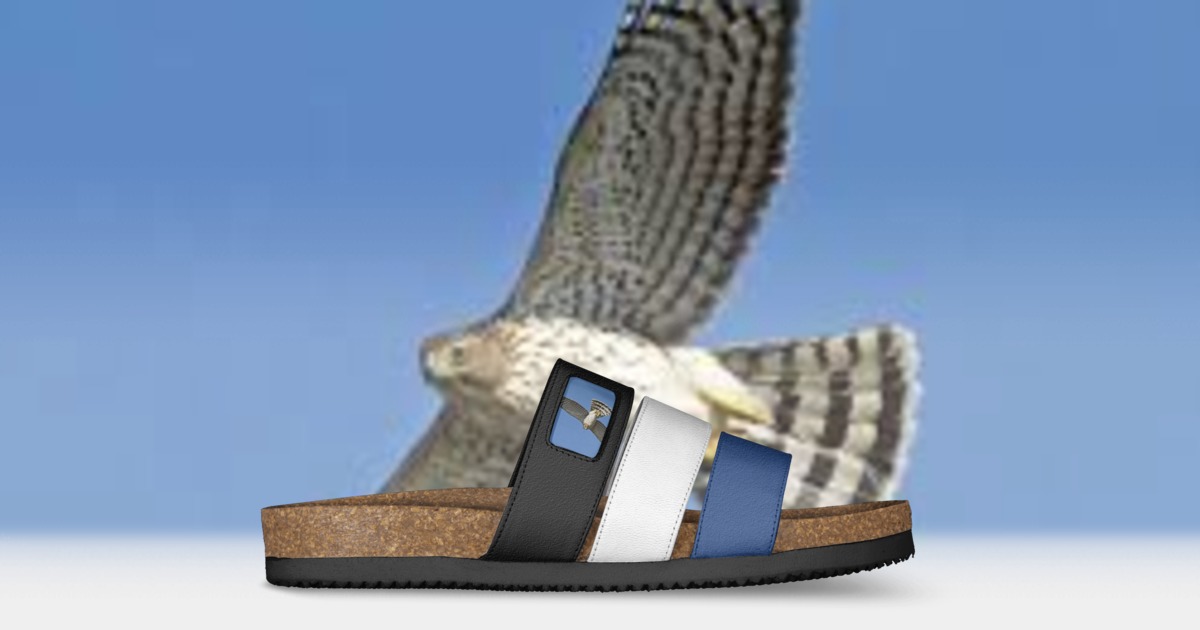 Brand image