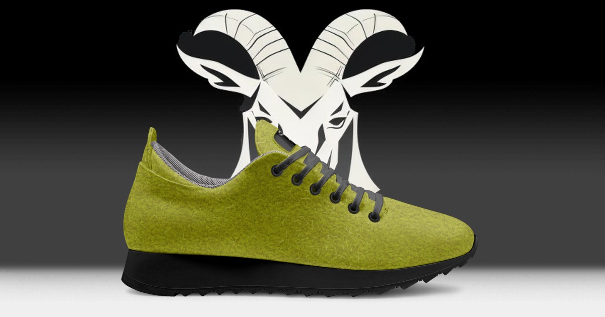 Brand image